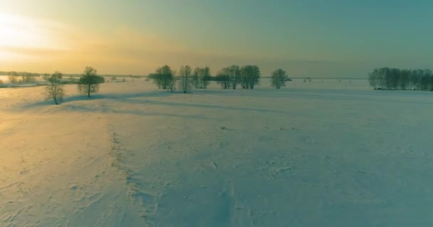 Veduta aerea del freddo paesaggio del campo artico, alberi con neve gelata, fiume ghiaccio e raggi solari all'orizzonte. Clima estremo a bassa temperatura. — Video Stock