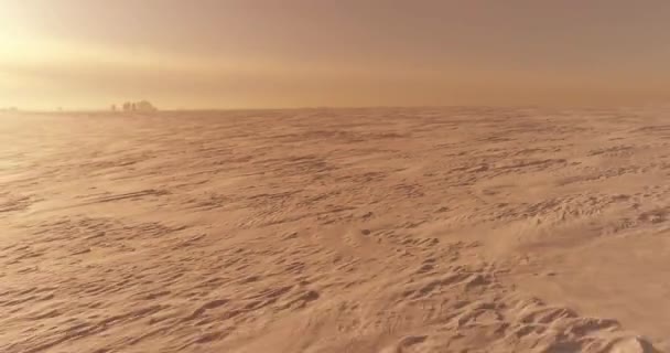 Повітряний вид на холодне зимове ландшафтне арктичне поле, дерева, покриті морозним снігом, крижаною річкою та сонячними променями над горизонтом. Екстремальна низька температура . — стокове відео