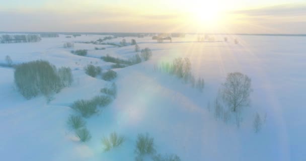 Soğuk arktik alan manzarası, karlı ağaçlar, buz nehri ve ufukta güneş ışınları. Aşırı düşük sıcaklık havası. — Stok video