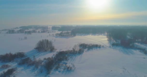 Luftaufnahme der kalten Winterlandschaft arktisches Feld, Bäume mit Frost Schnee, Eis Fluss und Sonnenstrahlen über Horizont bedeckt. Extrem niedrige Temperaturen. — Stockvideo