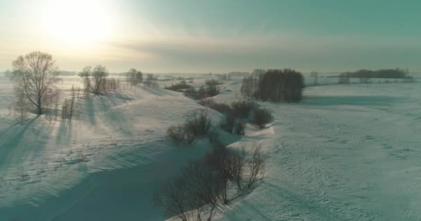 冷たい冬の風景北極フィールドの空中ビュー、木々の霜雪で覆われ、氷の川や水平線上に太陽の光。極端な低温の天候. — ストック動画