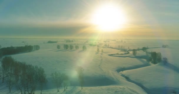 Flygfoto av kallt vinterlandskap arktiskt fält, träd täckta med frost snö, isälv och solstrålar över horisonten. Extremt låg temperatur väder. — Stockvideo