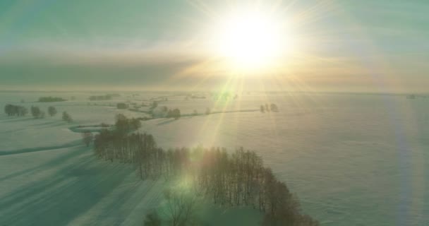 Vista aérea da paisagem fria inverno campo ártico, árvores cobertas com neve geada, rio de gelo e raios de sol sobre o horizonte. Tempo extremo de baixa temperatura. — Vídeo de Stock