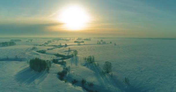 冷たい冬の風景北極フィールドの空中ビュー、木々の霜雪で覆われ、氷の川や水平線上に太陽の光。極端な低温の天候. — ストック動画