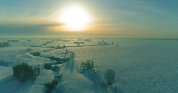 Luftaufnahme der kalten Winterlandschaft arktisches Feld, Bäume mit Frost Schnee, Eis Fluss und Sonnenstrahlen über Horizont bedeckt. Extrem niedrige Temperaturen. — Stockvideo