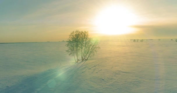 Vista aérea da paisagem fria inverno campo ártico, árvores cobertas com neve geada, rio de gelo e raios de sol sobre o horizonte. Tempo extremo de baixa temperatura. — Vídeo de Stock