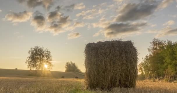 Płaskie wzgórze łąka timelapse w letnim czasie zachodu słońca. Dzika przyroda i wiejskie stogi siana na polu trawy. Promienie słońca i zielone drzewa. Suwak z wózkiem silnikowym — Wideo stockowe