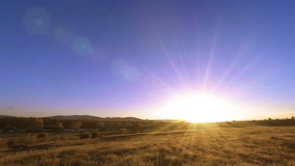 4K UHD prairie de montagne timelapse à l'été. Nuages, arbres, herbe verte et mouvement des rayons du soleil. — Video