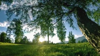 Yaz veya sonbahar aylarında dağ çayır zaman atlamalı. Vahşi doğa ve kırsal alan. Motorlu sürgü dolly hareketi.