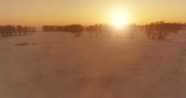 Luchtfoto drone uitzicht op koud winterlandschap met poolveld, bomen bedekt met vorst sneeuw en ochtendzon stralen over horizon. — Stockvideo