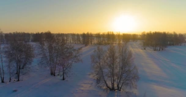 Vista aérea de drones del frío paisaje invernal con campo ártico, árboles cubiertos de nieve helada y rayos de sol matutinos sobre el horizonte. — Vídeos de Stock