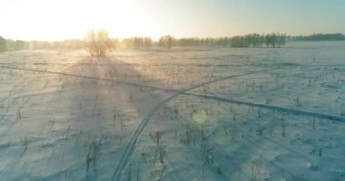 Arktik çayırlı soğuk kış manzarası, karla kaplı ağaçlar ve ufukta sabah güneşleri..