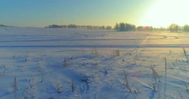 Arktik çayırlı soğuk kış manzarası, karla kaplı ağaçlar ve ufukta sabah güneşleri..