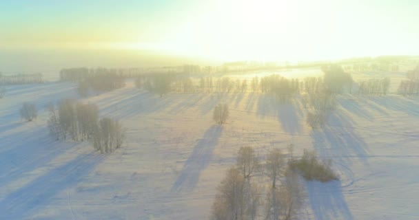 Vista aérea do drone da paisagem fria do inverno com campo ártico, árvores cobertas com neve da geada e raios do sol da manhã sobre o horizonte. — Vídeo de Stock