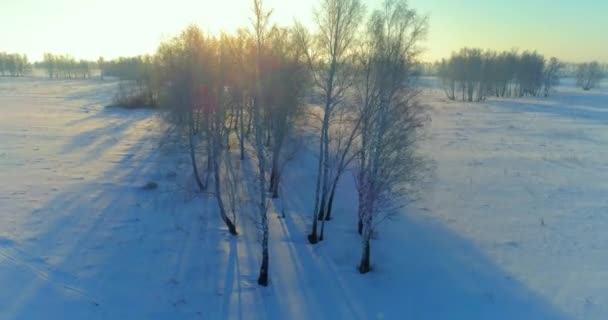 Luchtfoto drone uitzicht op koud winterlandschap met poolveld, bomen bedekt met vorst sneeuw en ochtendzon stralen over horizon. — Stockvideo