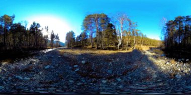 Vahşi dağların, çam ormanlarının ve nehir akışlarının 360 VR sanal gerçekliği. Ulusal park, çayır ve güneş ışınları.