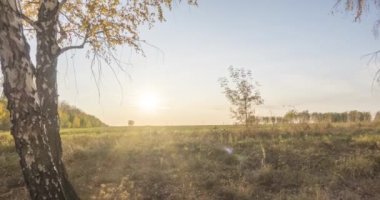 Yazın ya da sonbaharda çayır zamanlaması. Kırsal alan cadısı güneş ışınları, ağaçlar ve yeşil çimenler. Gün batımında motorlu doli kaydırıcı