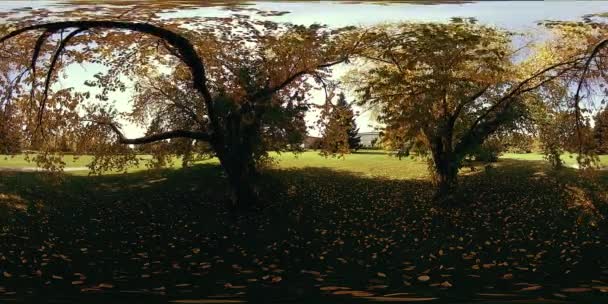 UHD 4K 360 VR Realidad virtual de un área recreativa del parque de la ciudad. Árboles y hierba verde en el día de otoño o verano — Vídeo de stock