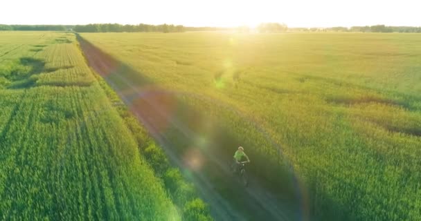 Luftaufnahme eines kleinen Jungen, der mit dem Fahrrad durch ein Weizengrasfeld auf der alten Landstraße fährt. Sonnenlicht und Sonnenstrahlen. — Stockvideo