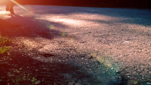 Sport man running at asphalt road. Rural city park. Green tree forest and sun rays on horizon. — Stock Video