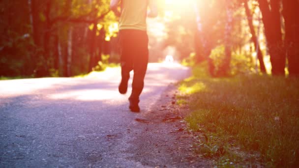 Sportember fut az aszfalt úton. Vidéki park. Zöld fa erdő és napsugarak a horizonton. — Stock videók
