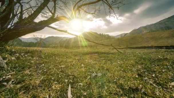 Time lapse of death tree and dry yellow grass at mountian landscape with clouds and sun rays. Horizontal slider movement — Stock Video