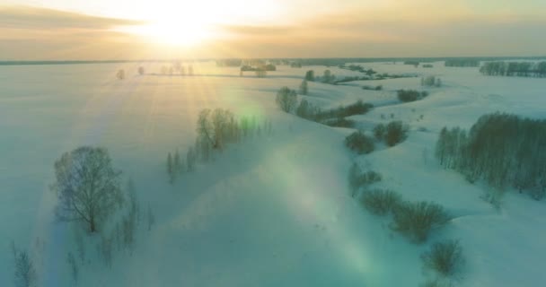 Vista aérea da paisagem fria do campo ártico, árvores com neve de geada, rio de gelo e raios de sol ao longo do horizonte. Tempo extremo de baixa temperatura. — Vídeo de Stock