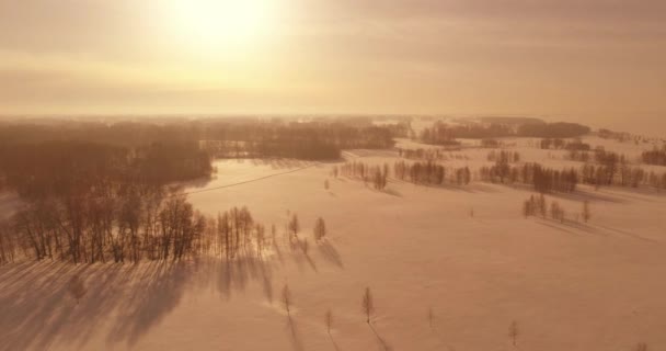 冷たい冬の風景北極フィールドの空中ビュー、木々の霜雪で覆われ、氷の川や水平線上に太陽の光。極端な低温の天候. — ストック動画