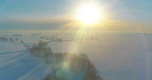 Luftaufnahme der kalten Winterlandschaft arktisches Feld, Bäume mit Frost Schnee, Eis Fluss und Sonnenstrahlen über Horizont bedeckt. Extrem niedrige Temperaturen. — Stockvideo