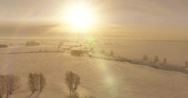冷たい冬の風景北極フィールドの空中ビュー、木々の霜雪で覆われ、氷の川や水平線上に太陽の光。極端な低温の天候. — ストック動画