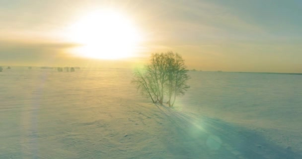 Vista aérea da paisagem fria inverno campo ártico, árvores cobertas com neve geada, rio de gelo e raios de sol sobre o horizonte. Tempo extremo de baixa temperatura. — Vídeo de Stock