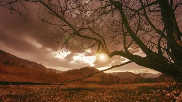 Lapso de tempo da árvore da morte e grama amarela seca na paisagem montanhosa com nuvens e raios de sol. Movimento deslizante horizontal — Vídeo de Stock