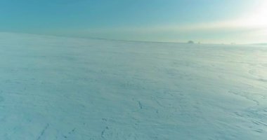 Soğuk kış manzarası kutup bölgesi, karla kaplı ağaçlar, ufukta buz nehri ve güneş ışınları. Aşırı düşük sıcaklık havası.