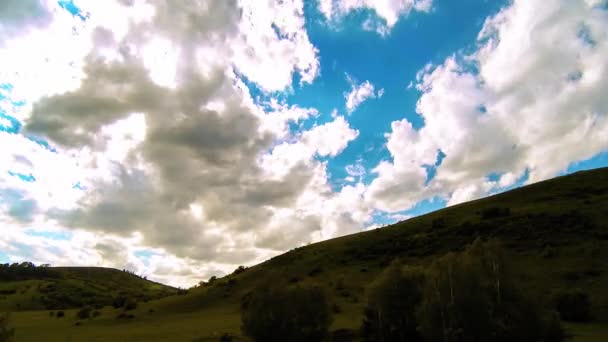 4K UHD山の牧草地は夏にタイムラプスします。雲、木、緑の草、太陽光線の動き. — ストック動画