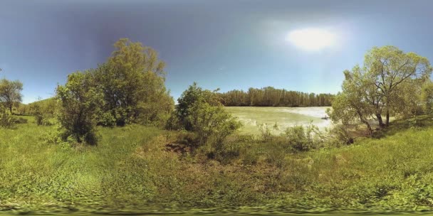 UHD 4K 360 VR La réalité virtuelle d'une rivière coule sur des rochers dans un magnifique paysage de forêt de montagne — Video