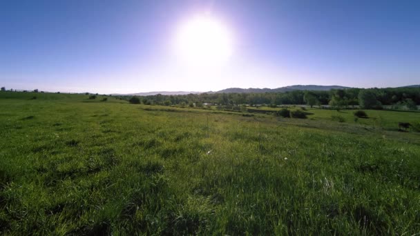 4K UHD górska łąka timelapse w lecie. Chmury, drzewa, zielona trawa i promieniowanie słoneczne. — Wideo stockowe
