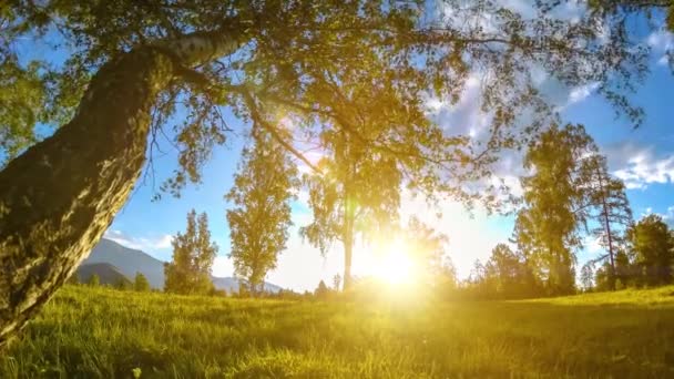 Caducidad del prado de montaña en verano u otoño. Naturaleza salvaje y campo rural. Movimiento de muñeca deslizante motorizado . — Vídeo de stock