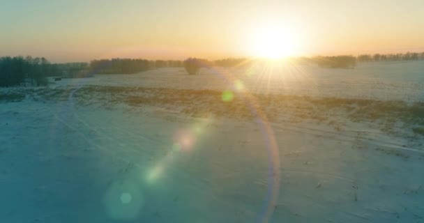 Veduta aerea drone del freddo paesaggio invernale con campo artico, alberi coperti di neve gelo e raggi del sole del mattino all'orizzonte. — Video Stock