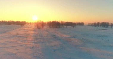 Arktik çayırlı soğuk kış manzarası, karla kaplı ağaçlar ve ufukta sabah güneşleri..
