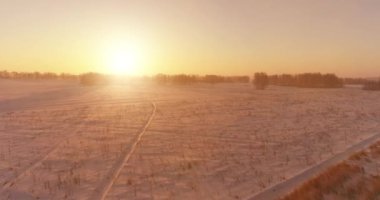 Arktik çayırlı soğuk kış manzarası, karla kaplı ağaçlar ve ufukta sabah güneşleri..