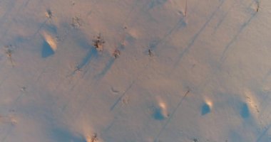 Arktik çayırlı soğuk kış manzarası, karla kaplı ağaçlar ve ufukta sabah güneşleri..