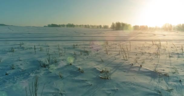 Drohnenaufnahme der kalten Winterlandschaft mit arktischem Feld, Bäumen mit Frostschnee und Morgensonnenstrahlen über dem Horizont. — Stockvideo