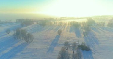 Arktik çayırlı soğuk kış manzarası, karla kaplı ağaçlar ve ufukta sabah güneşleri..