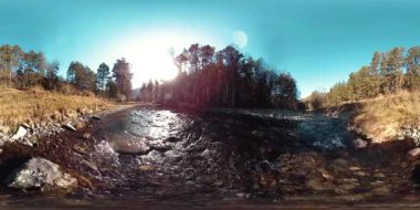Vahşi dağların, çam ormanlarının ve nehir akışlarının 360 VR sanal gerçekliği. Ulusal park, çayır ve güneş ışınları.