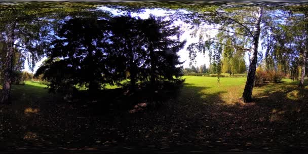 UHD 4K 360 VR ความเป็นจริงเสมือนของพื้นที่พักผ่อนหย่อนใจในสวนสาธารณะ ต้นไม้และหญ้าสีเขียวในฤดูใบไม้ร่วงหรือวันฤดูร้อน — วีดีโอสต็อก