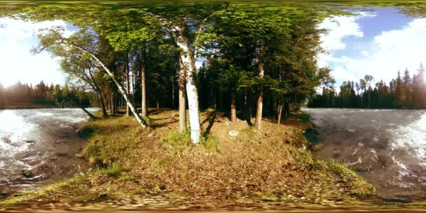 360野生の森のVR仮想現実.松の森、小さな高速、冷たい山の川。国立公園. — ストック動画