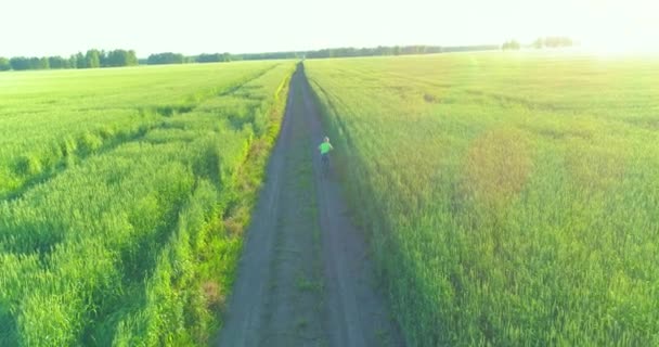 少年は、古い農村部の道路上のコムギの芝生のフィールドを介して自転車に乗るの空中ビュー。日光と梁. — ストック動画