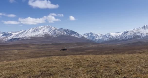 Zeitraffer der Sonnenbewegung am kristallklaren Himmel mit Wolken über schneebedeckten Berggipfeln. Gelbes Gras auf der herbstlichen Höhenwiese. Wilde unendliche Natur. — Stockvideo