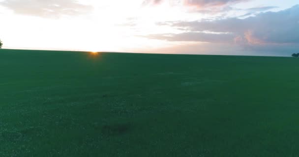 4K UHD вид с воздуха. Низкий полет над сельским летним пейзажем с бесконечным зеленым полем в солнечный летний вечер. Солнечные лучи на горизонте. Быстрое горизонтальное движение. — стоковое видео