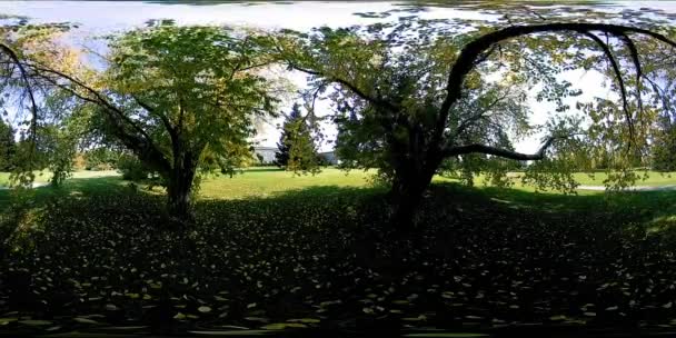 UHD 4K 360 VR Realidad virtual de un área recreativa del parque de la ciudad. Árboles y hierba verde en el día de otoño o verano — Vídeo de stock